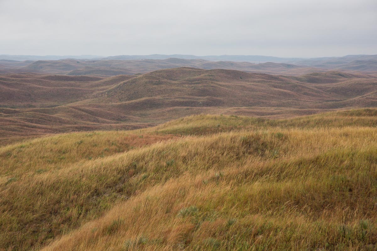 Nebraska Birding Guide