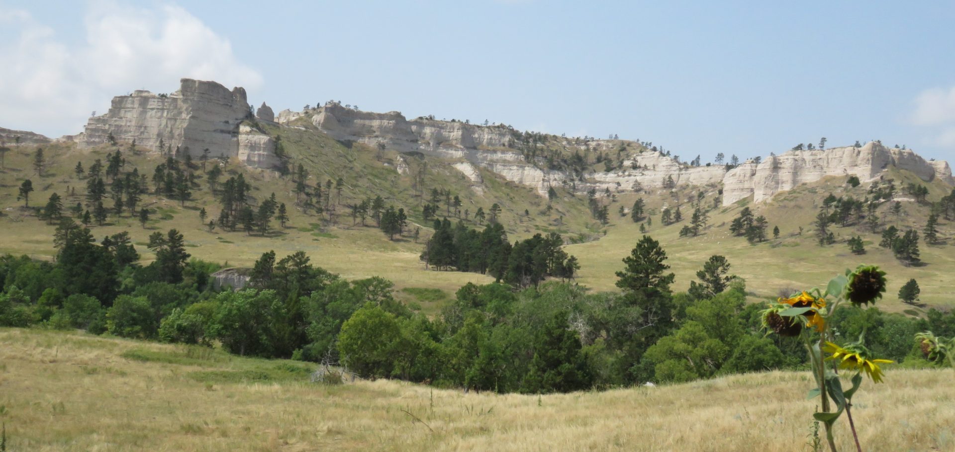 Sowbelly Canyon Road and Coffee Park