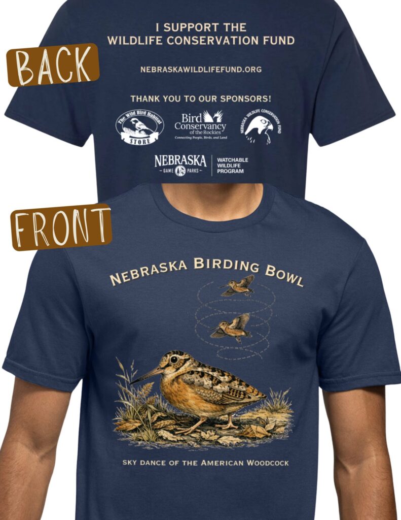 2026 tshirt design. Nebraska Birding Bowl on top. Illustration of an American Woodcock in the middle, and states "the sky dance of the american woodcock" on the bottom