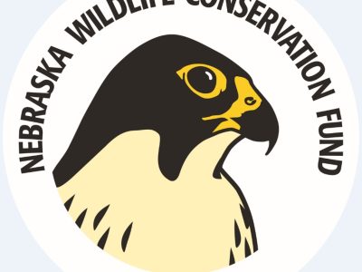 Nebraska Wildlife Conservation Fund logo featuring a peregrine falcon illustration.